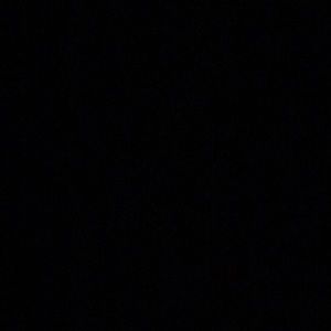 Meet your Posher, Bexie